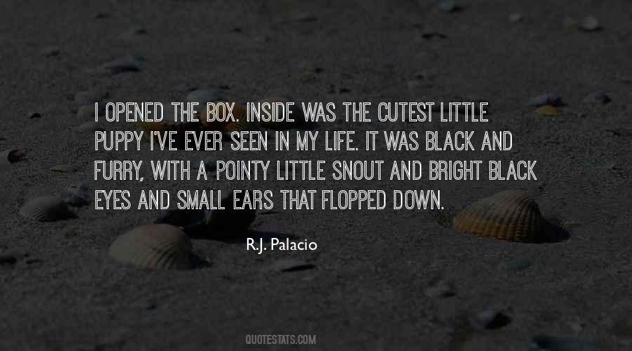 Think Inside The Box Quotes #726222