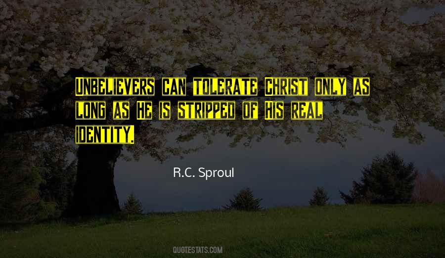 Your Identity In Christ Quotes #417630