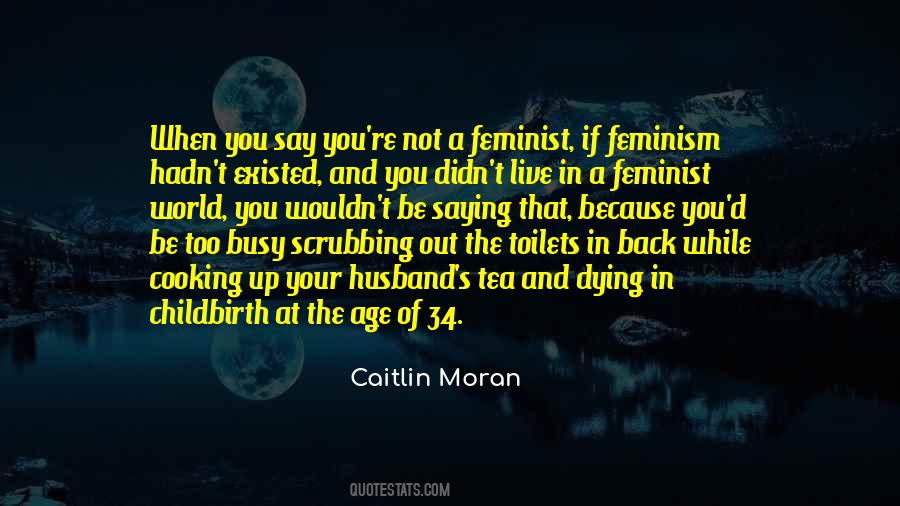 Not A Feminist Quotes #143562