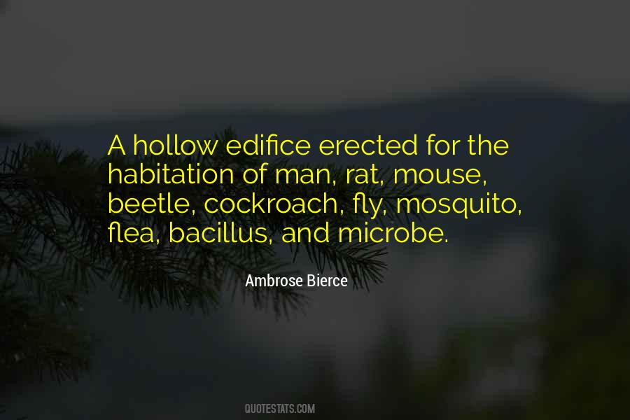 Quotes About A Mosquito #632324