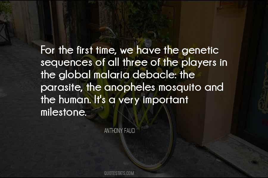 Quotes About A Mosquito #990143