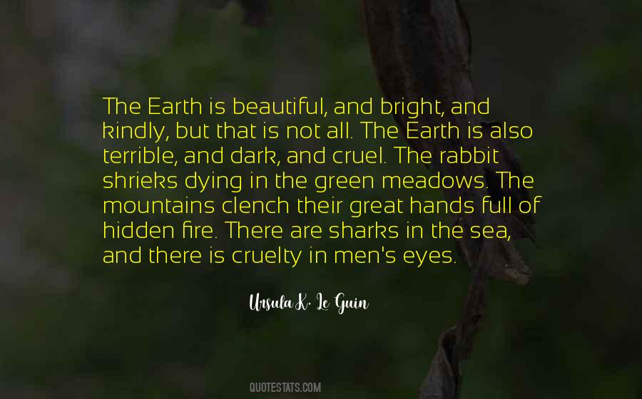 Eyes Fire Quotes #754745