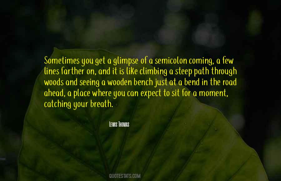A Glimpse Of You Quotes #1610339