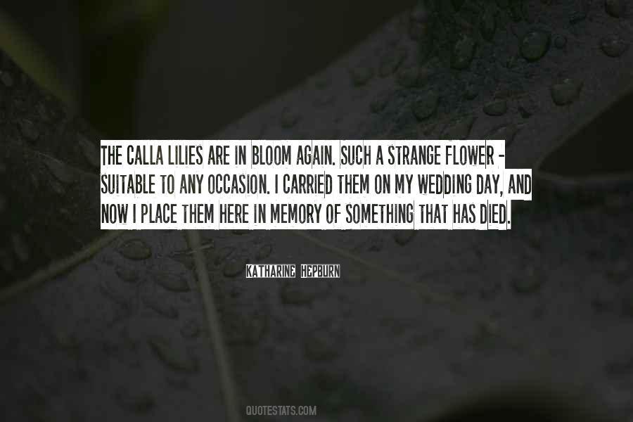 Memory Of The Day Quotes #762878