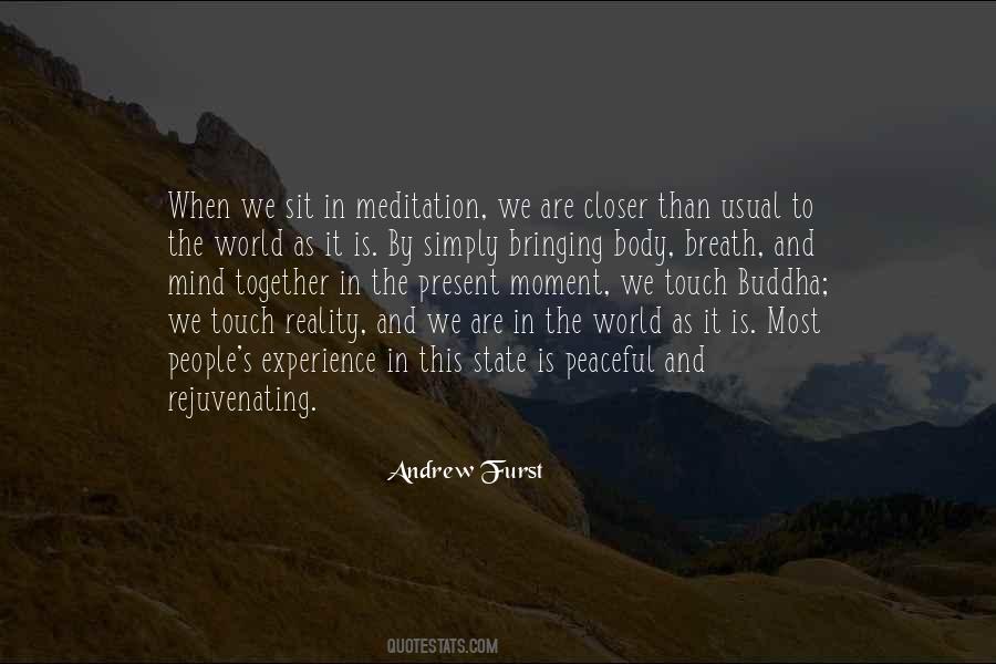 Peace In The Moment Quotes #558619