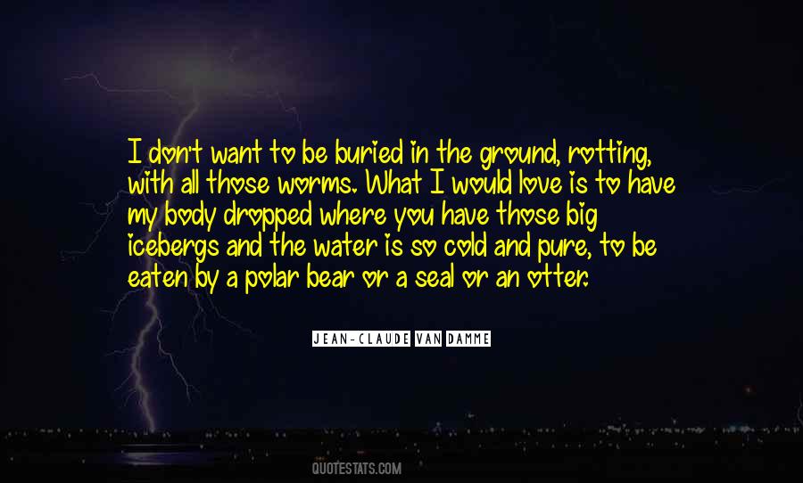 I Want To Be In Love With You Quotes #564536