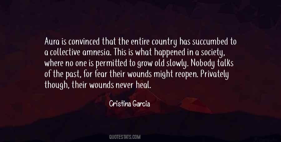 Past Wounds Quotes #582512