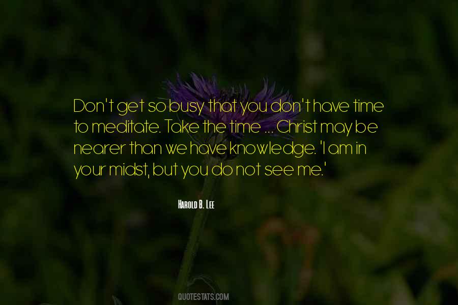 You May See Me Quotes #1373104