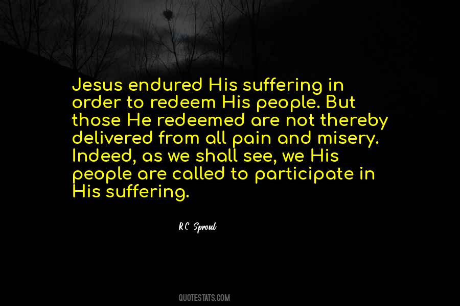 Endured Suffering Quotes #344402
