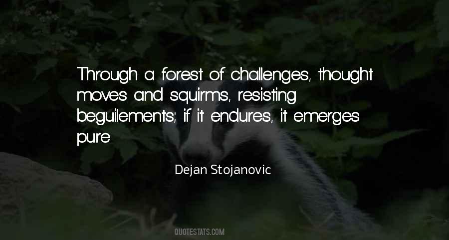 Endures Quotes #1729574