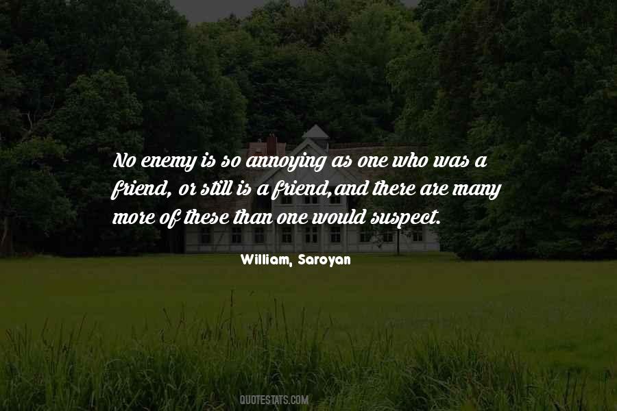 Enemy And Friend Quotes #896564