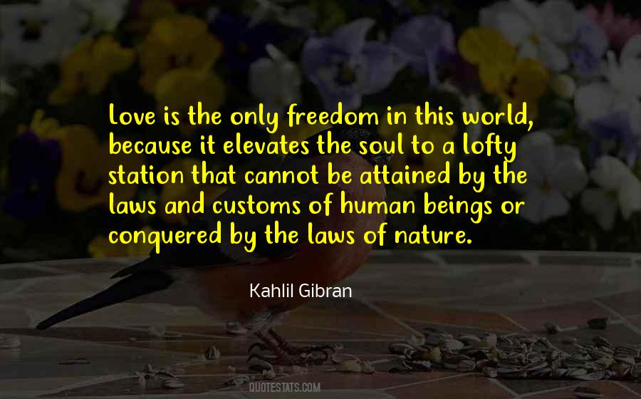 The Laws Of Human Quotes #1632898