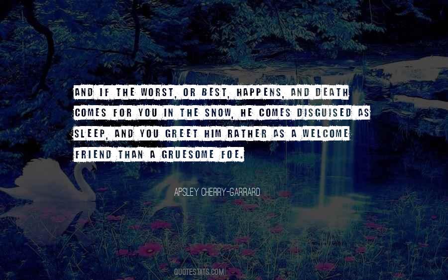 Friend Foe Quotes #1076690