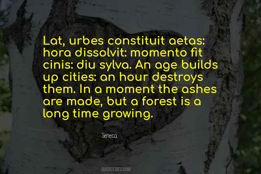 Diu Quotes #1548882