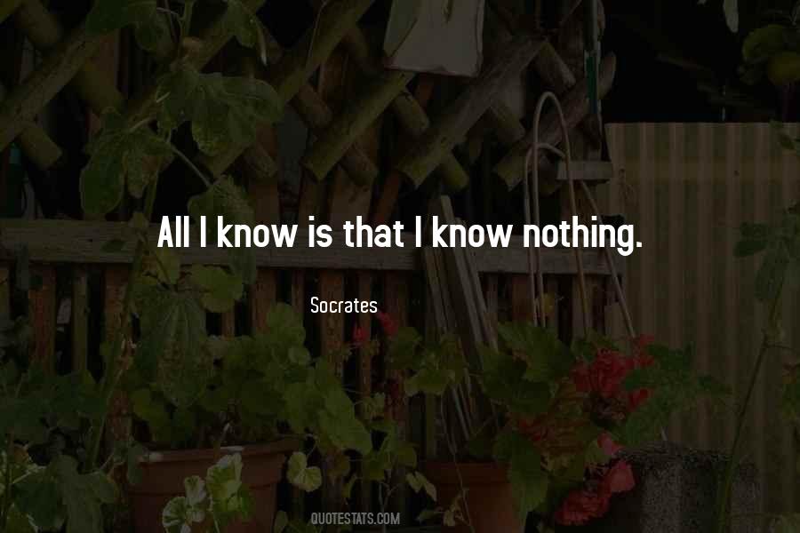 I Know That I Know Nothing Quotes #212836