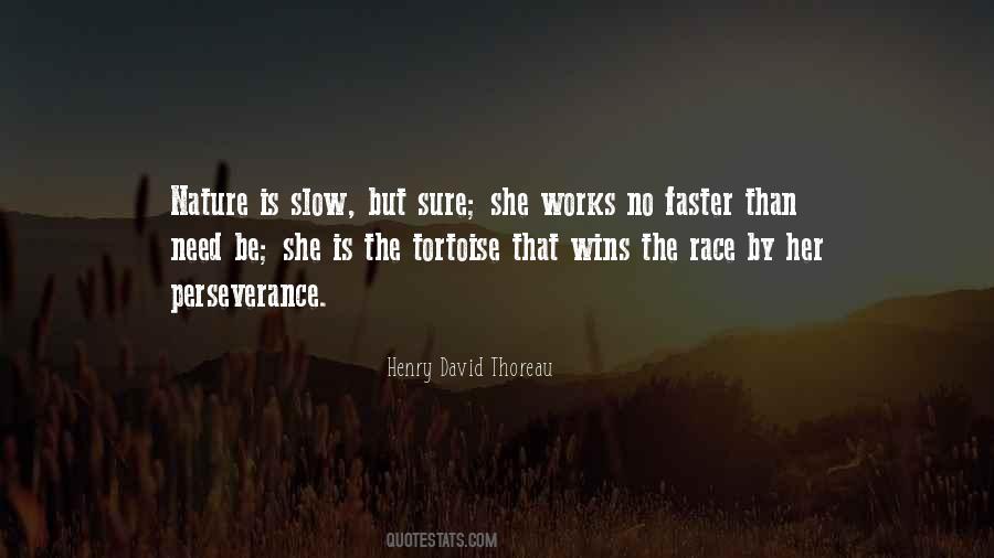 Wins The Race Quotes #277056