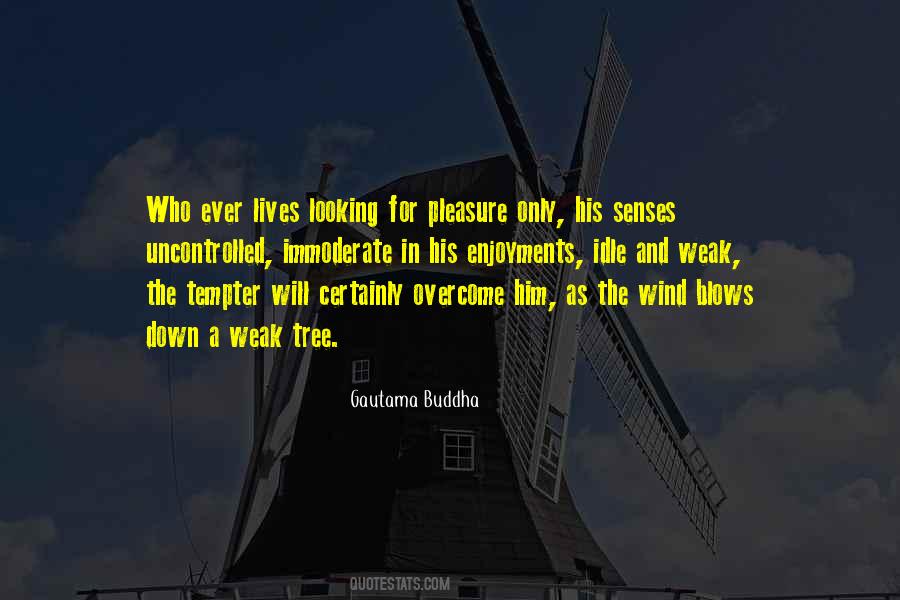 Where The Wind Blows Quotes #31935