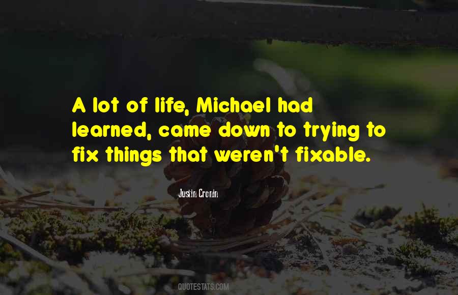 Trying To Fix Things Quotes #1717532