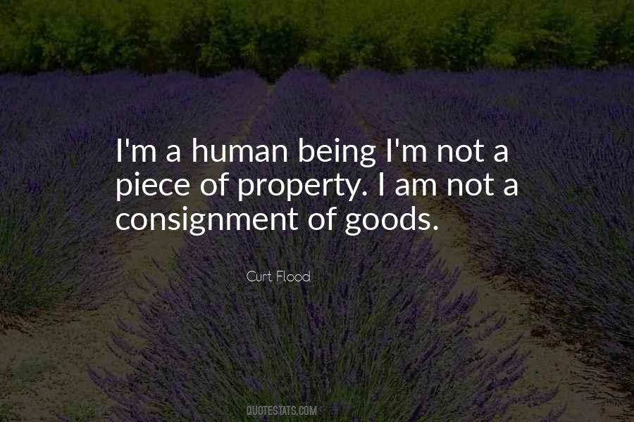 I Am A Human Being Quotes #118310