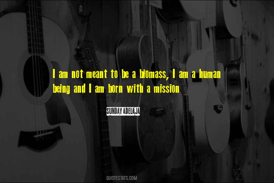 I Am A Human Being Quotes #875959