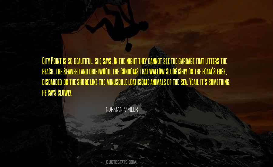 Beach Night Quotes #215813