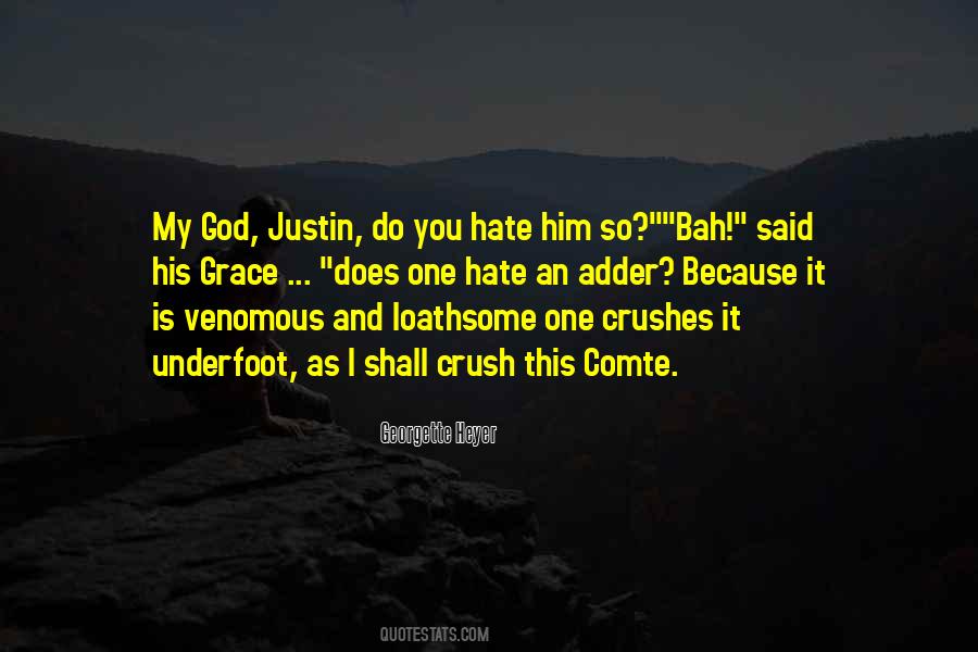 Hate And Revenge Quotes #1486456
