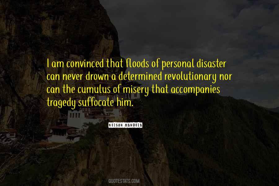 I Am A Disaster Quotes #1319353