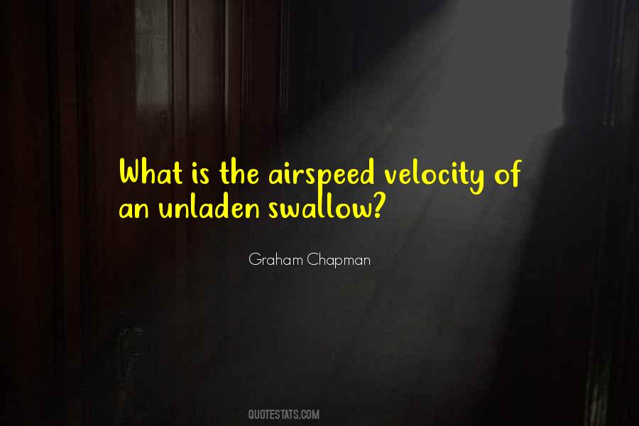 Airspeed Velocity Of An Unladen Swallow Quotes #1871228