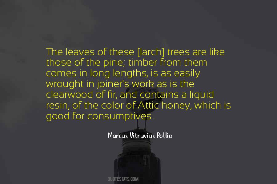 Tree Work Quotes #1215674