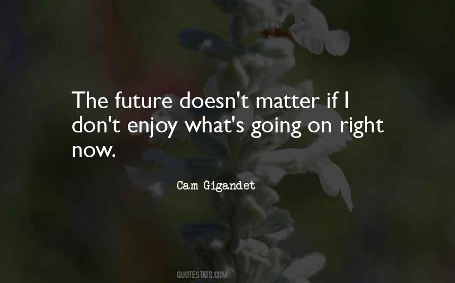 Enjoy Right Now Quotes #1023661