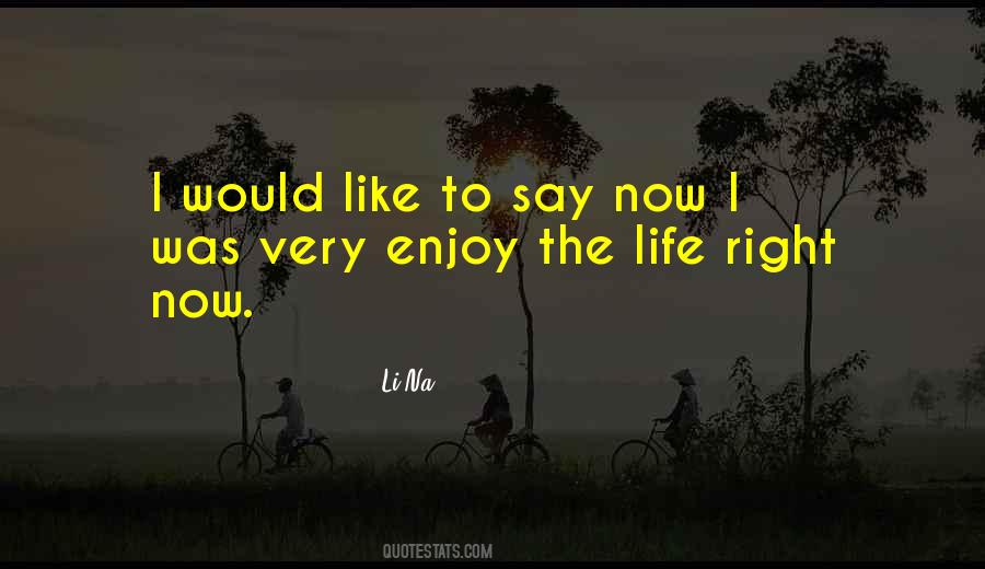 Enjoy Right Now Quotes #1511632