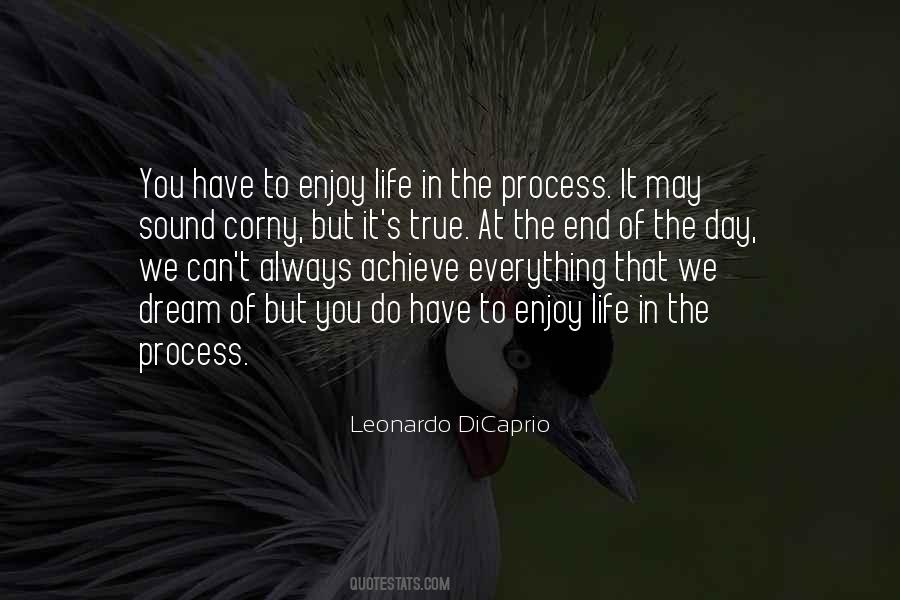 Enjoy The Process Quotes #1079540