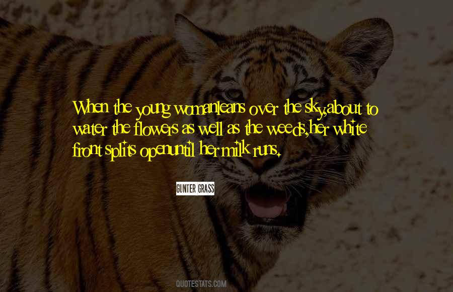 Over The Sky Quotes #1469598