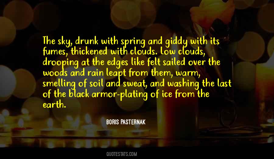 Over The Sky Quotes #151000
