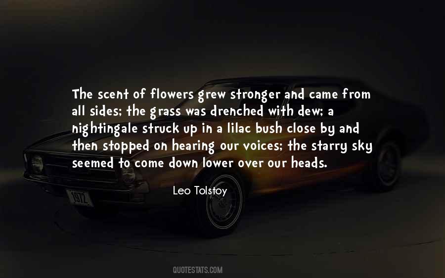 Over The Sky Quotes #153423