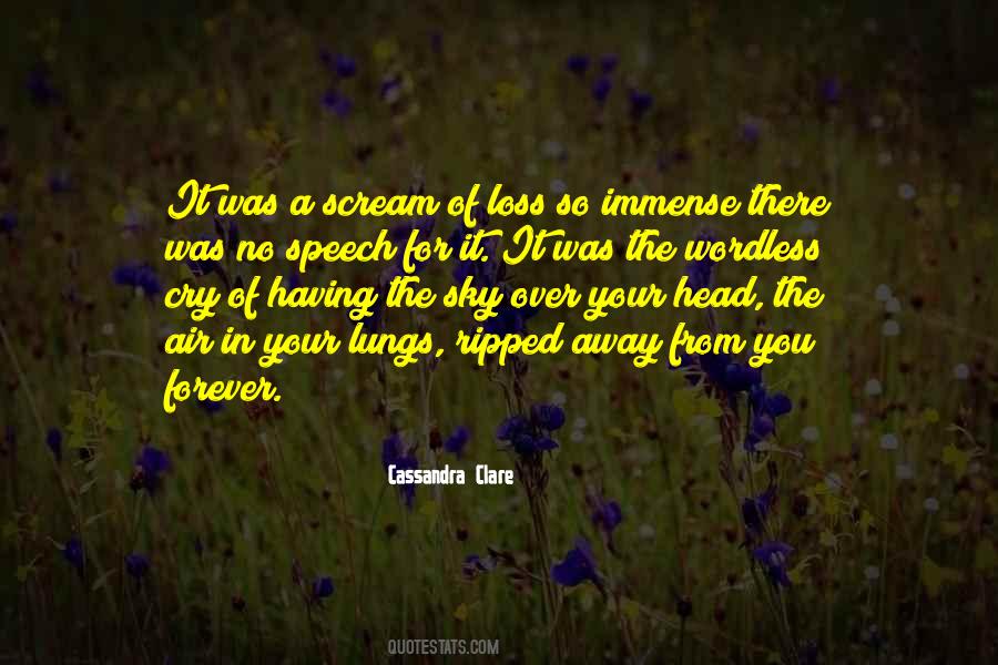 Over The Sky Quotes #306078