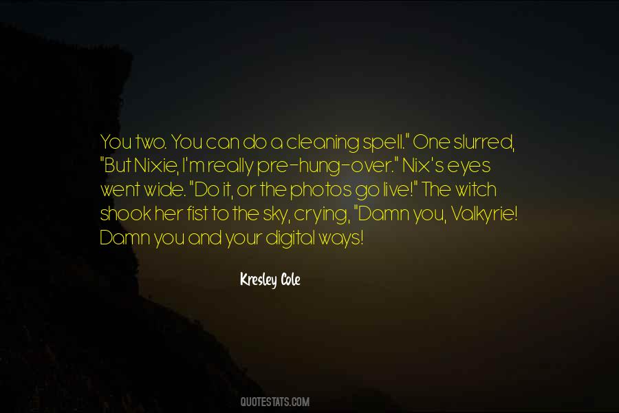 Over The Sky Quotes #508572