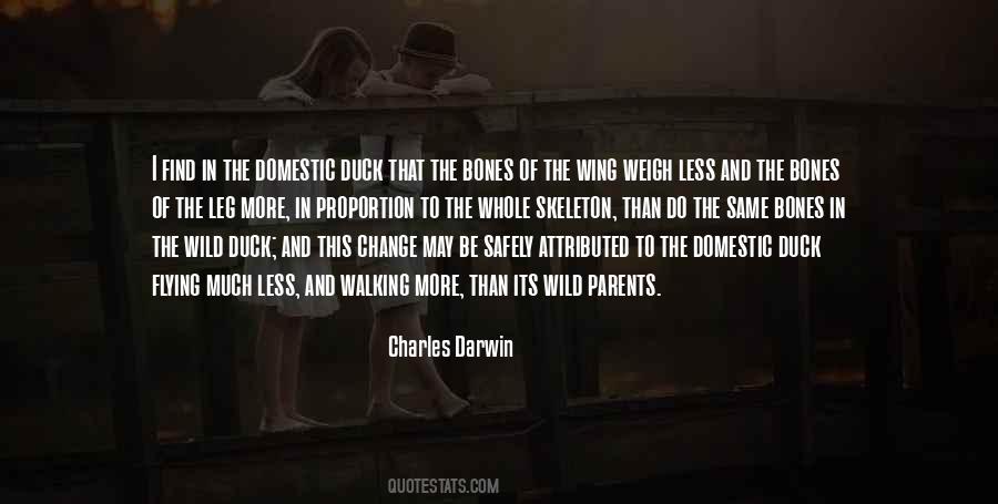 Flying Duck Quotes #1745504