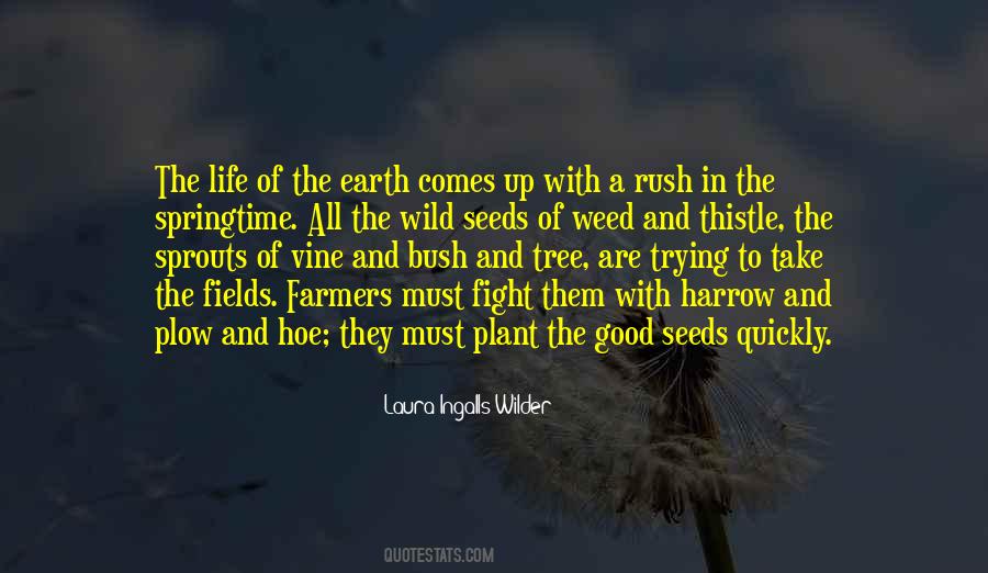 Quotes About The Life Of A Tree #1210864