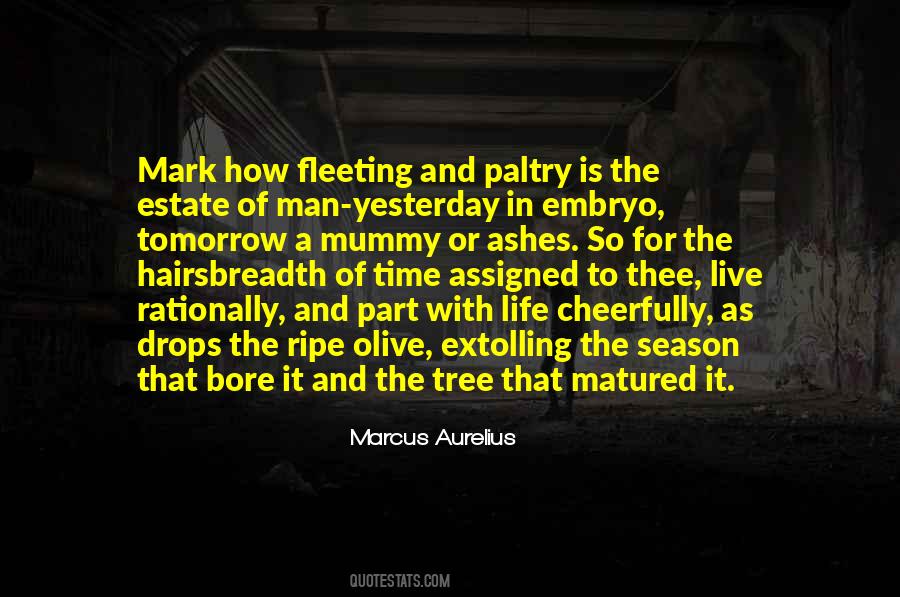 Quotes About The Life Of A Tree #940752