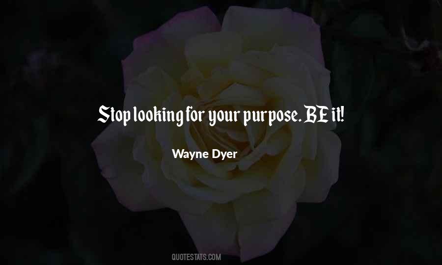 Stop Looking For It Quotes #947805