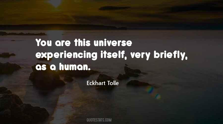 Universe Experiencing Itself Quotes #1102279