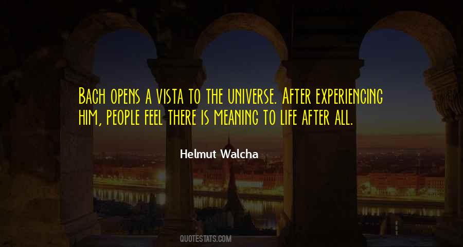 Universe Experiencing Itself Quotes #767782