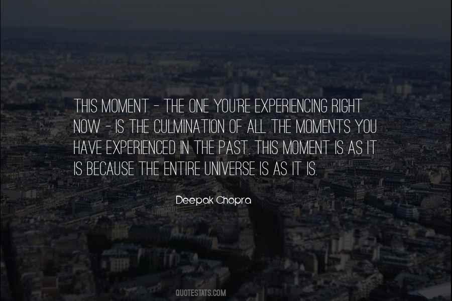 Universe Experiencing Itself Quotes #816279