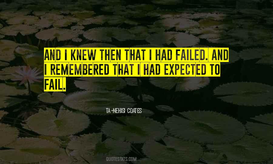 What Would You Do If You Knew You Could Not Fail Quotes #267641