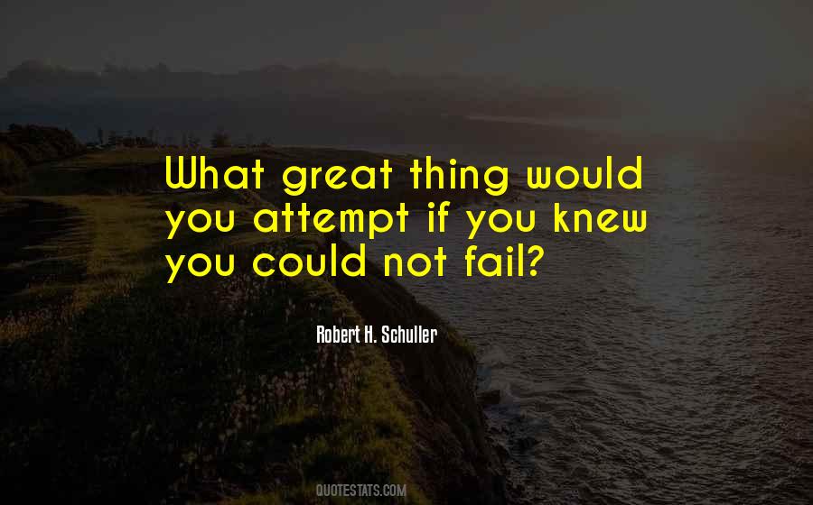 What Would You Do If You Knew You Could Not Fail Quotes #63167