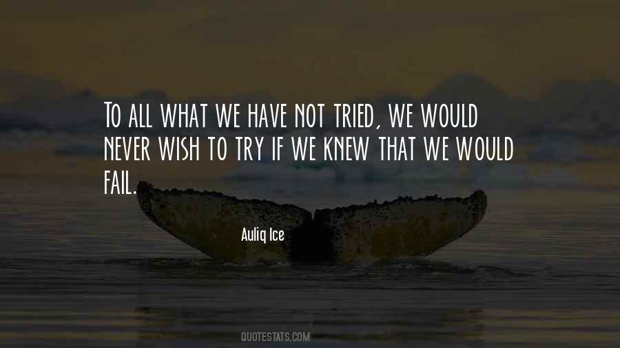 What Would You Do If You Knew You Could Not Fail Quotes #678444