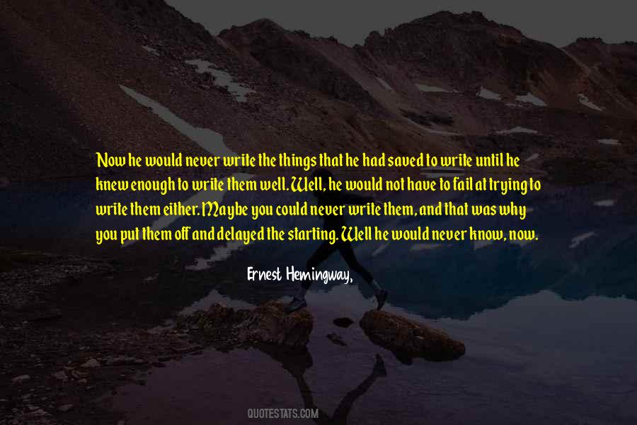What Would You Do If You Knew You Could Not Fail Quotes #974703