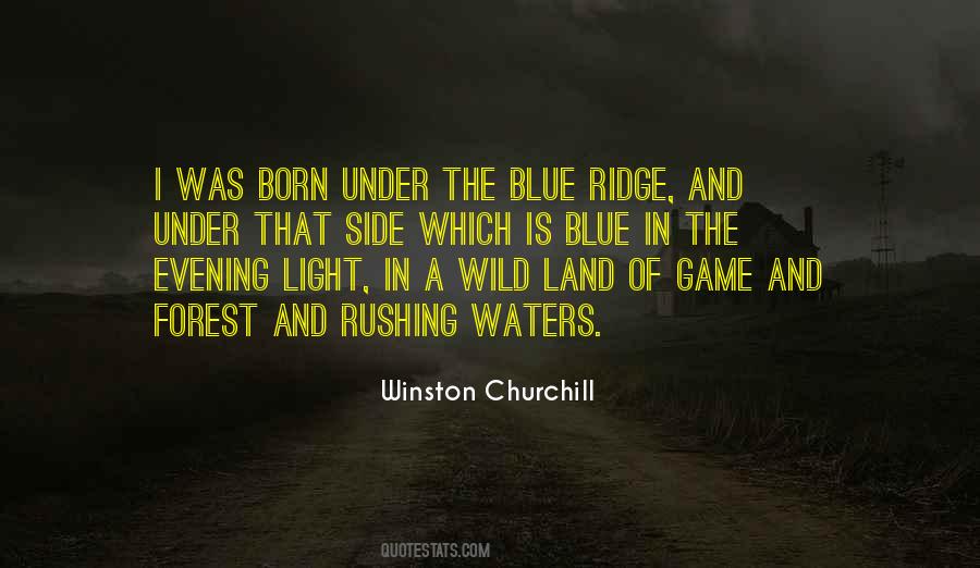 The Forest Game Quotes #886542