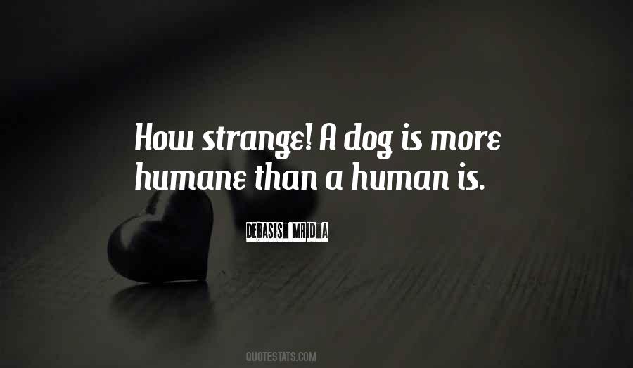 A Dog Is Quotes #256681